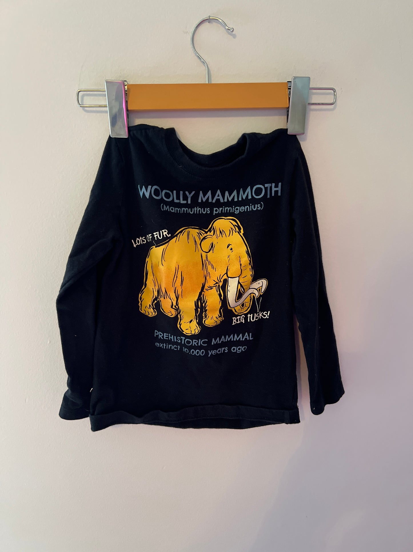 Mammoth Carter long sleeve