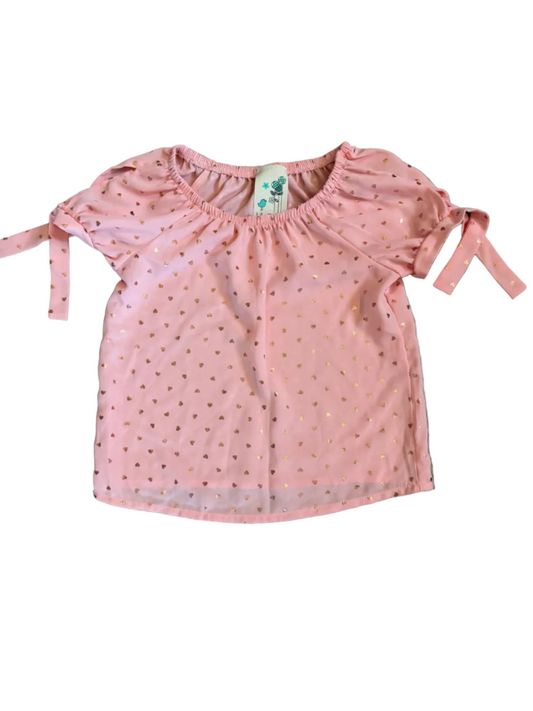 Lily Bleu shirt 3T